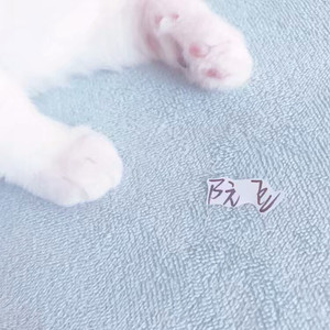 甜蜜蜜（Cover 邓丽君）