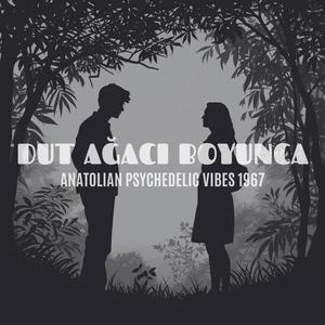 DUT AĞACI BOYUNCA