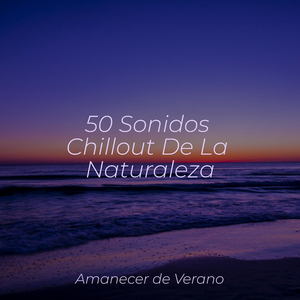 Armonías Zen para el Alma