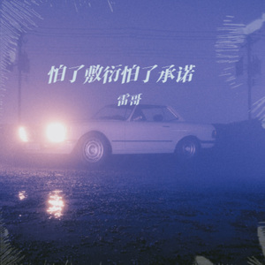 怕了敷衍怕了承诺