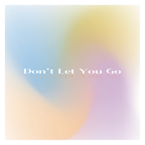 Don't Let You Go