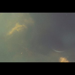 JOHNNY THE DAY-BUTCHER (인생도살자)