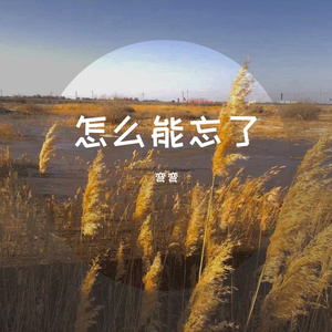 怎么能忘了(不插电)_弯弯