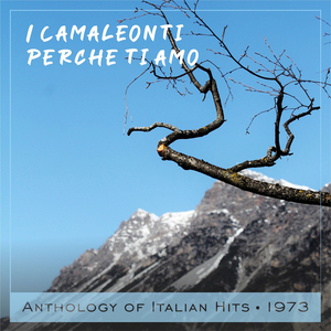 Perchè ti amo Anthology of Italian Hits 1973
