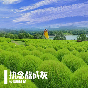 凌晨结冰的湖面