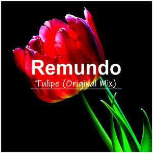 Tulipe (Original Mix)