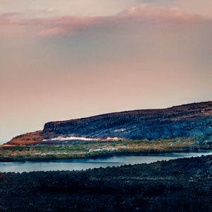 狮子宠过的人不会爱上野狗