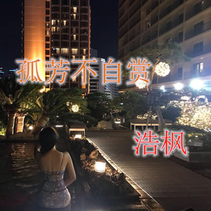 孤芳不自赏（DJ版）