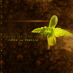 Ya No Hay Marcha Atrás (feat. Dres)