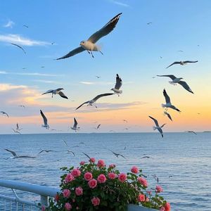 心海绽放的爱火