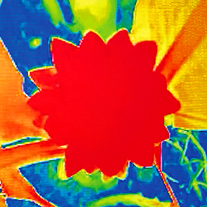 Tripping (The Right Way)