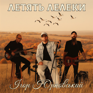 Летять лелеки
