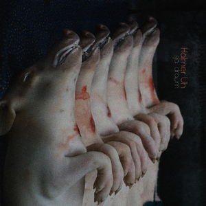 Sjá Draum: I