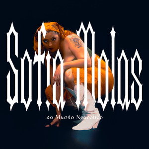 Meu Universo Desencantado