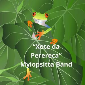 Xote da Perereca