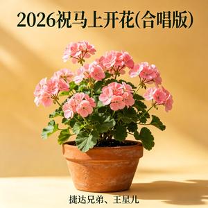 2026祝马上开花(合唱版)