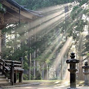 Laugh with Me Enjoy the Beauty of the World