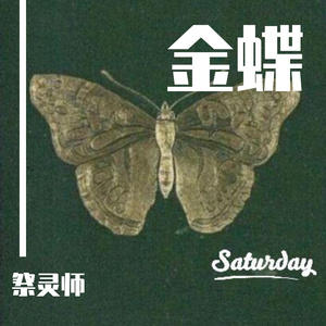 金蝶