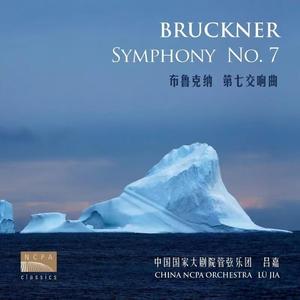 E大调第七交响曲 第一乐章 · 有节制的快板（Symphony No. 7 in E Major, WAB 107/1 Allegro moderato）