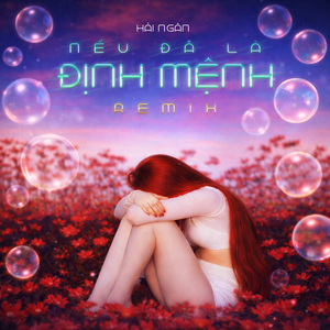 Nếu Đã Là Định Mệnh (Remix)