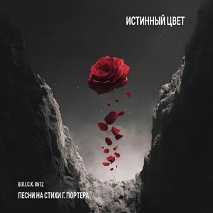 Достигнув самого дна