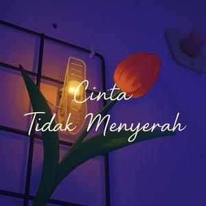 Cinta Tidak Menyerah (Slowed & Reverb)
