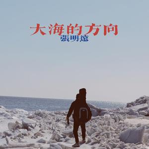 大海的方向