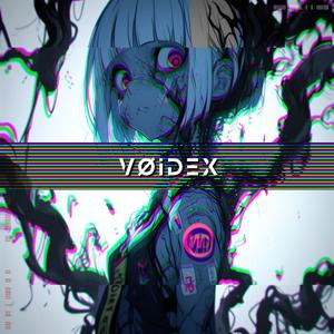 VØIDEX