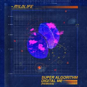 Super Algorithm Digital Me (Thievves Remix)
