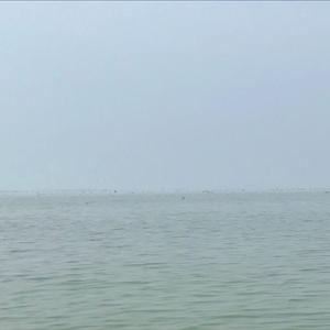 traverse the sea to find our dreams