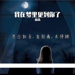 我在梦里见到你了