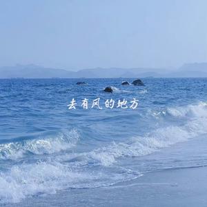 去有风的地方(DJ版)