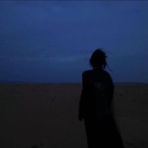 Linkin Park-In The End（Sea remix）