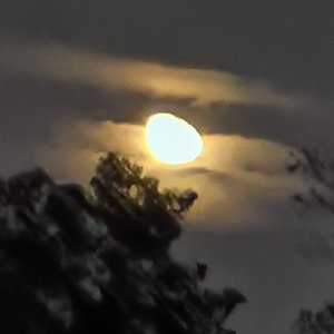 夜空