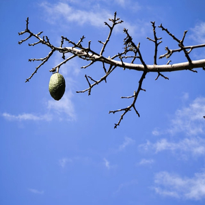 赠我无目的旅行的奇迹