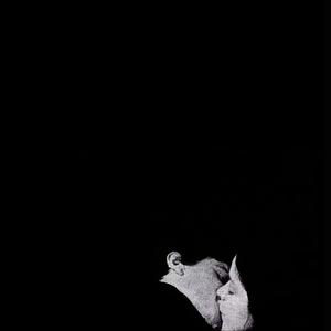 ZoKRa JaniM（爱人）