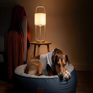 Peaceful Paw Shelter