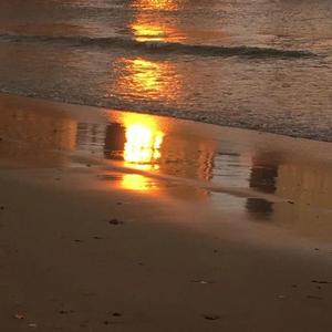 Dirty Twinz-执迷不悟（云汋 remix）