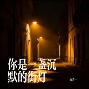 你是一盏沉默的街灯