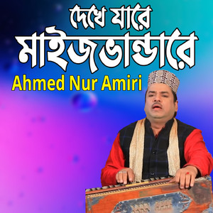 দেখে যারে মাইজভাণ্ডারে