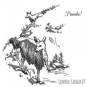 Should I Let the Intruder Know That I Am Aware of His Presence