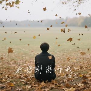 求你别离开我