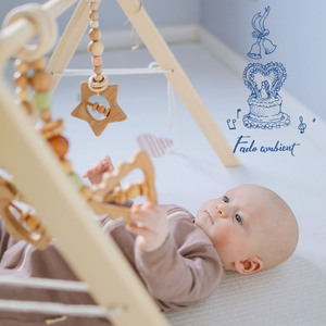 엘리제를 위하여 : 베토벤 (팬플룻 Ver.)