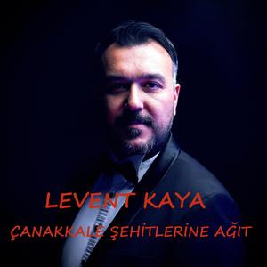 Çanakkale Şehitlerine Ağıt