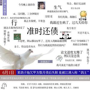 江湖人称鸽王(赠 微生)