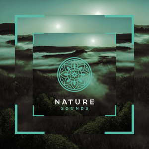 Bunyi Tidur yang Menenangkan