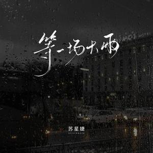 等一场大雨 (错爱版)