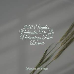 Danza de Éxtasis Estelar