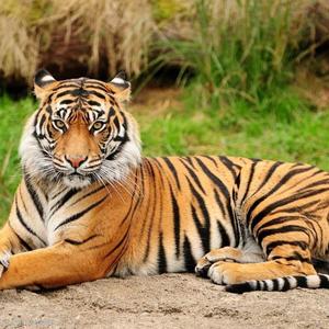 电反奇排分（4）