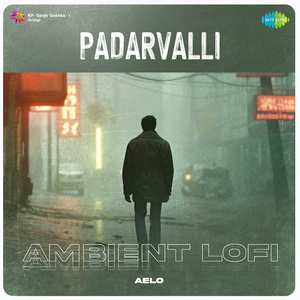 Padarvalli - Ambient Lofi
